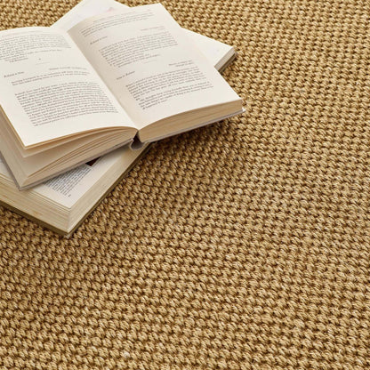 Origins Sisal Rug Warm Natural with Dark Brown Border