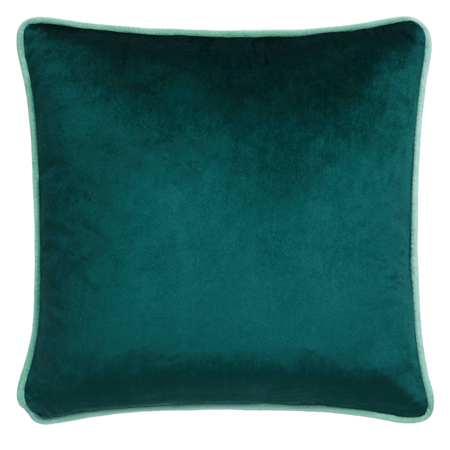 Suburban Jungle Cushion in Teal