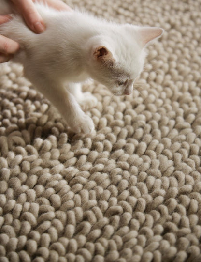 Rug Guru Union Oyster