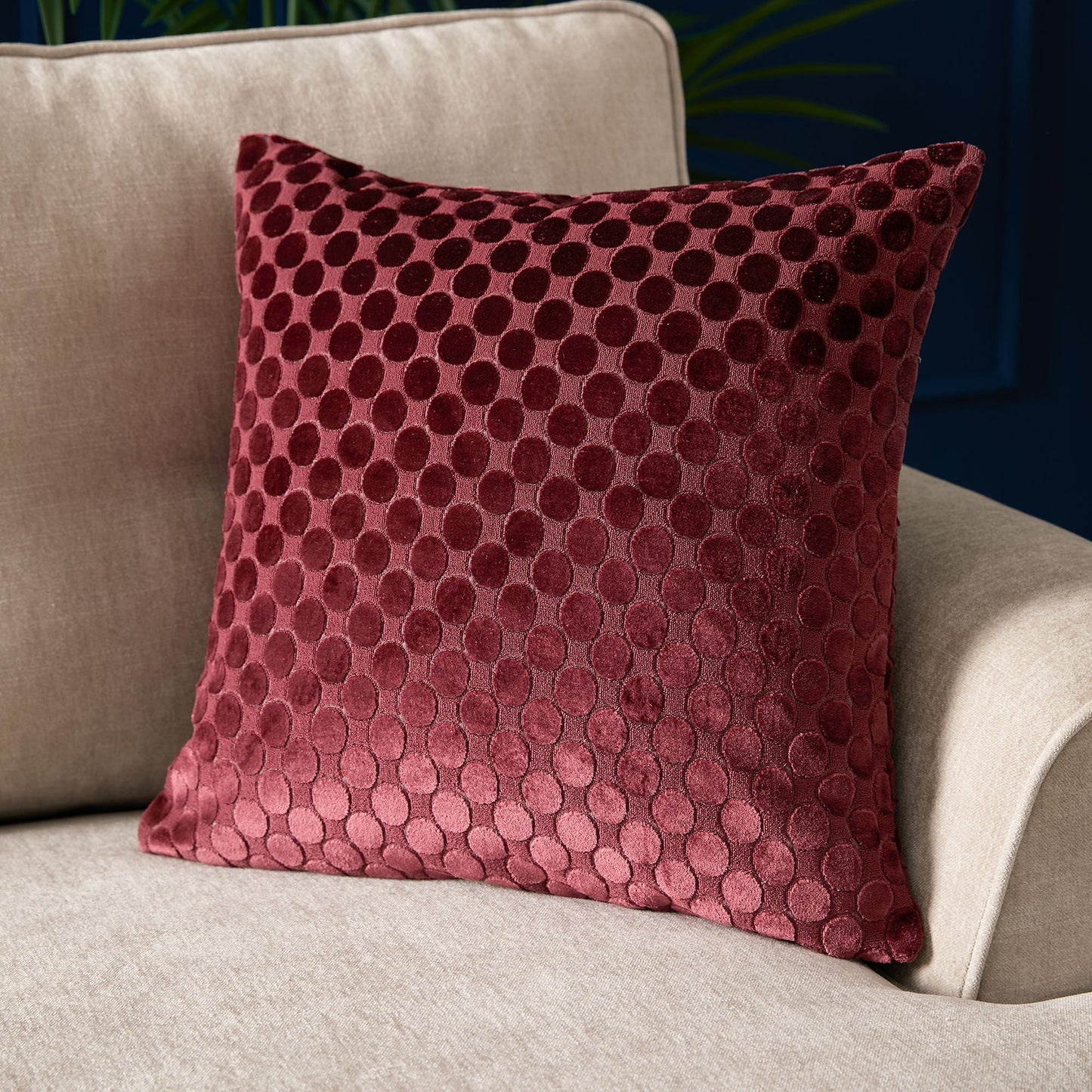 Velvet Spot Cushion in Burgundy