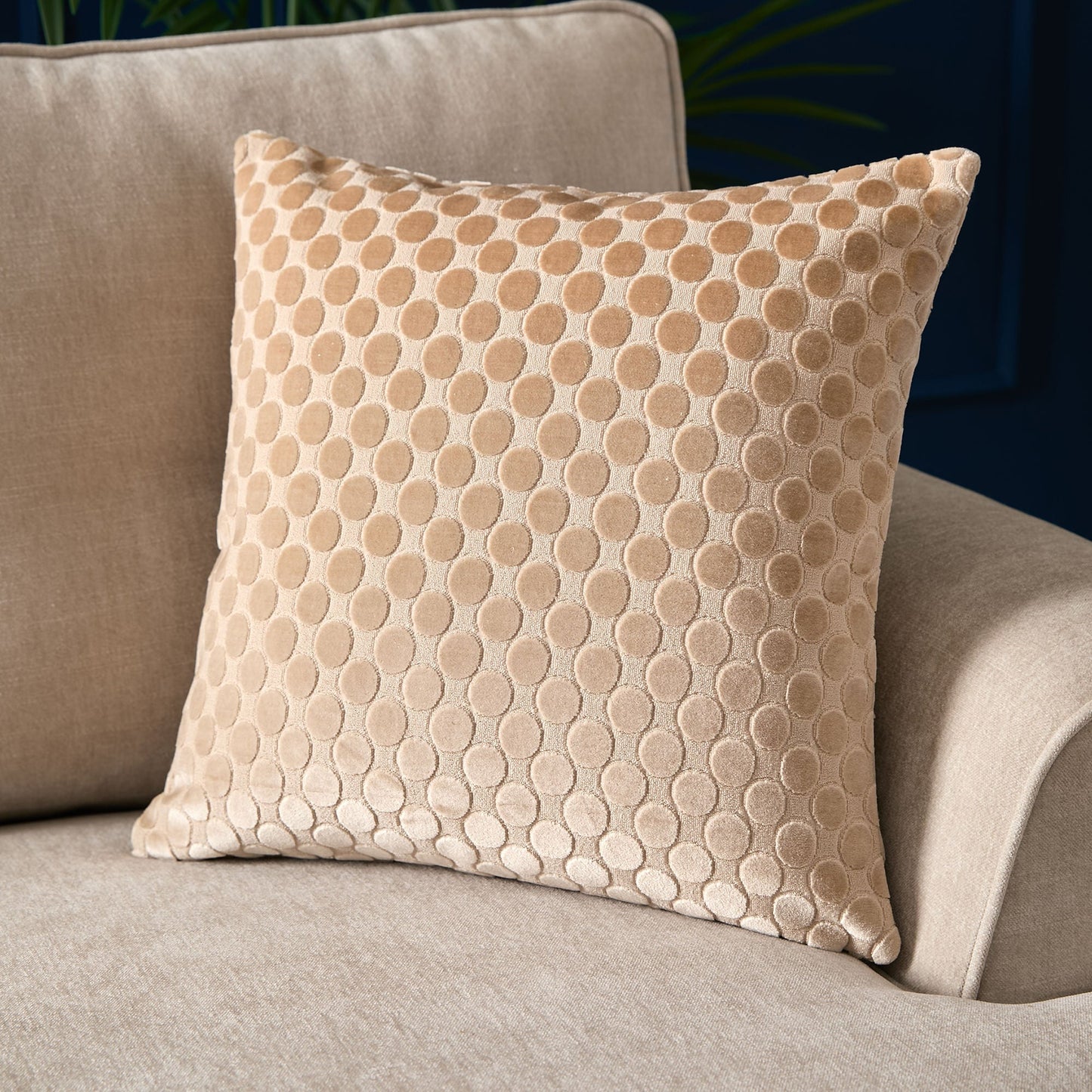 Velvet Spot Cushion in Natural