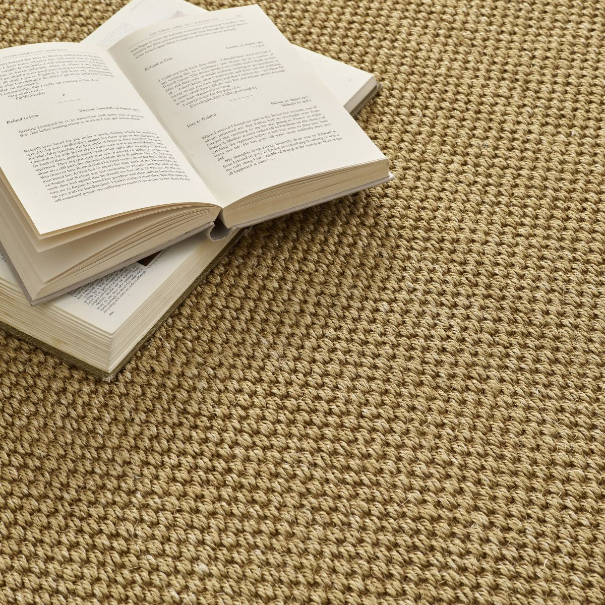 Origins Sisal Rug Warm Natural with Dark Brown Border