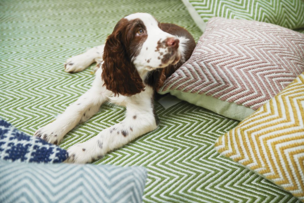 Origin Fine Stripes Multi