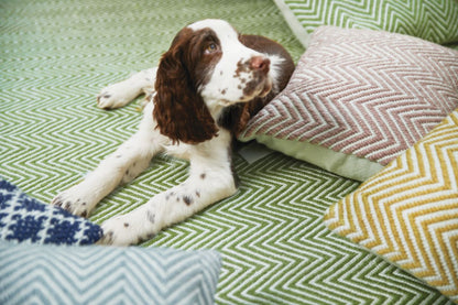 Origin Fine Stripes Multi