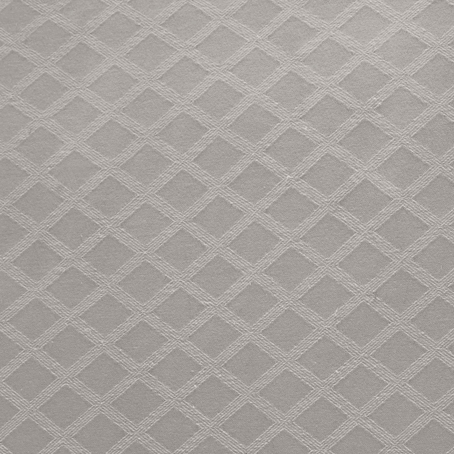 Croma Cushion in Silver