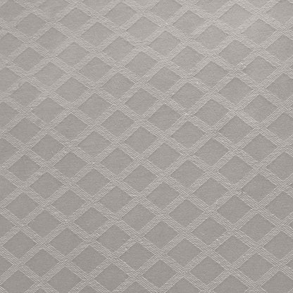 Croma Cushion in Silver