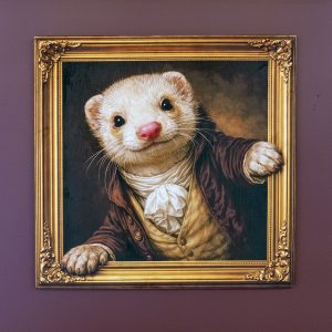 Beyond the Frame Velvet Illusion Artwork Collection