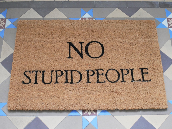 No Stupid People